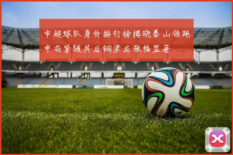 中超球队身价排行榜揭晓泰山领跑申花紧随其后铜梁龙涨幅显著